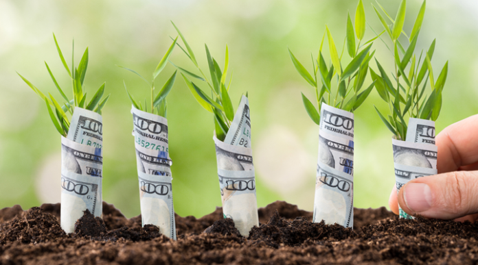 financial-success-in-20s