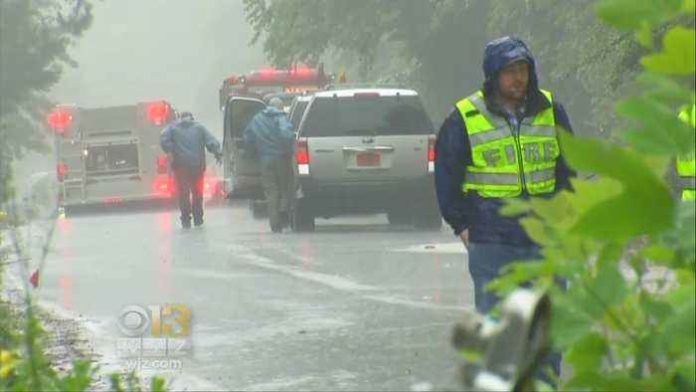 1805290332-TV-Anchor-Photojournalist-Killed-When-Tree-Falls-On