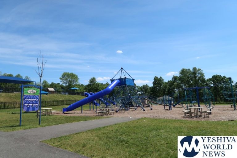 A visit to a park essay for class 8 picture