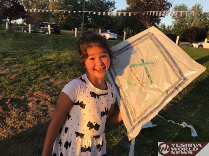 Kite 3
