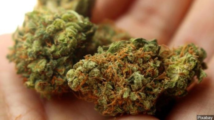 marijuana