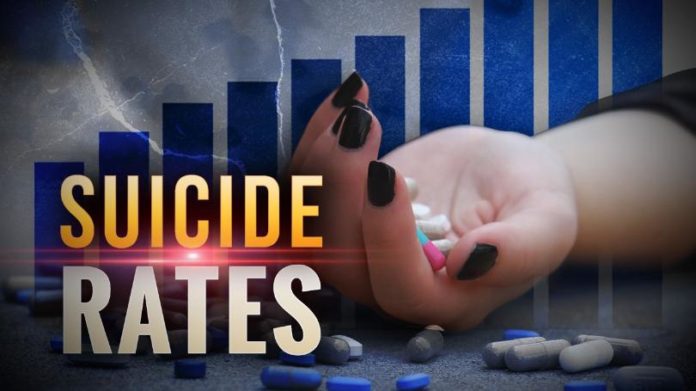 suicide+rates+-+mgn