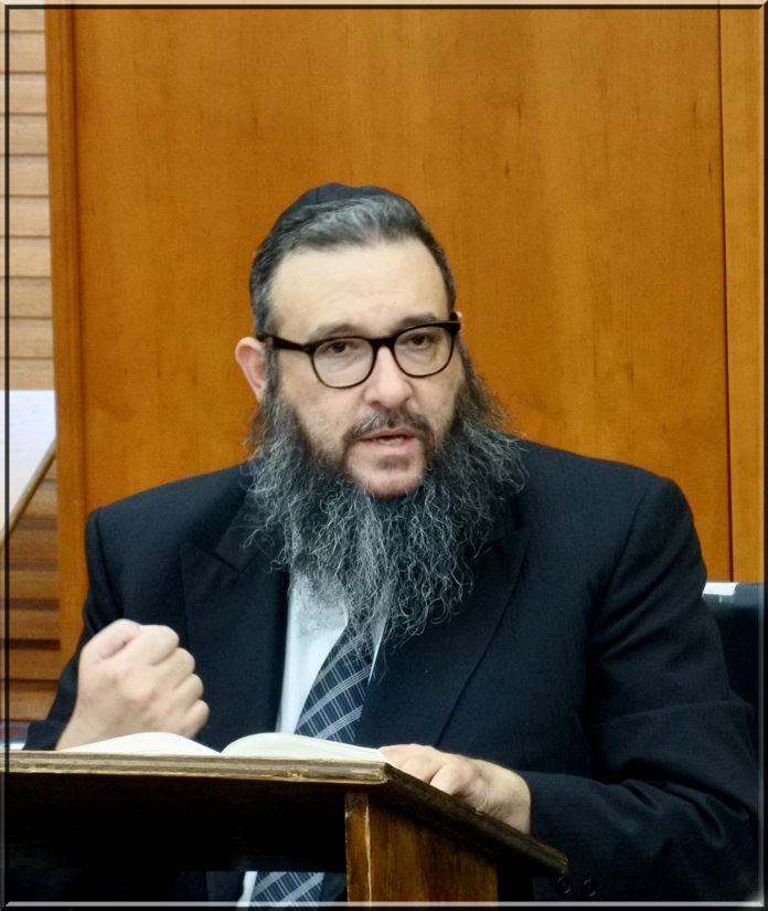 Rav-Gershon-Ribner-Portrait3