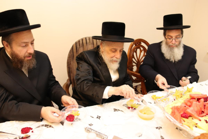 tu-beshvat-liska