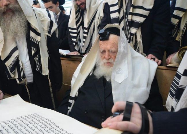 Ravchaimpurim-1