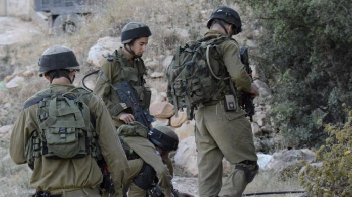 idf-training