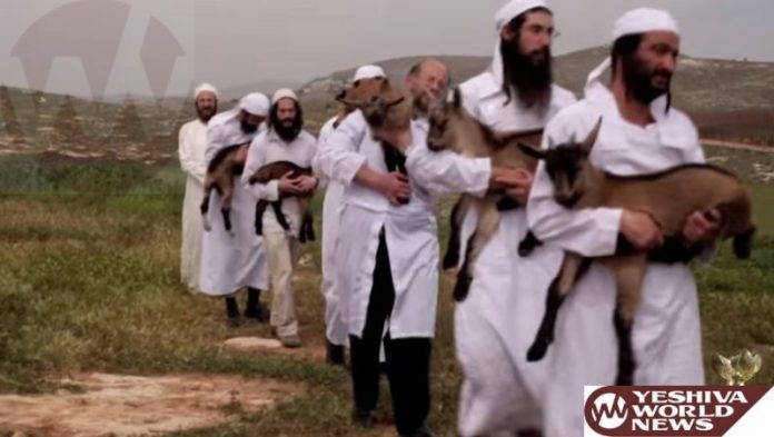 Korban Pesach