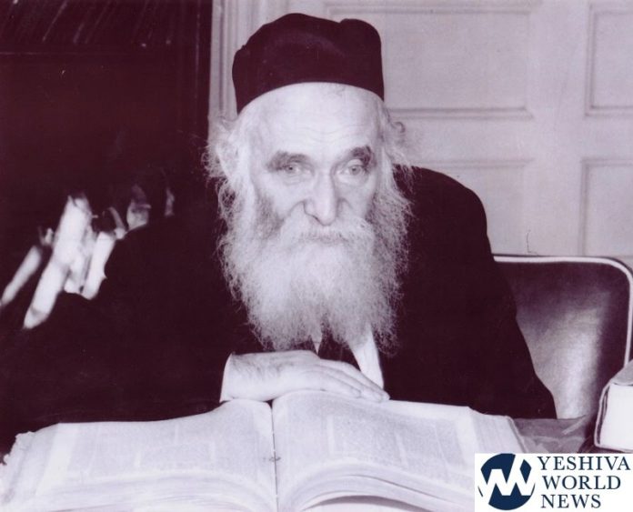 Rav Aharon Kotler