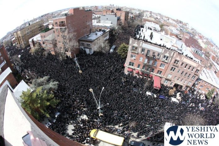 Skulener Rebbe Levaya