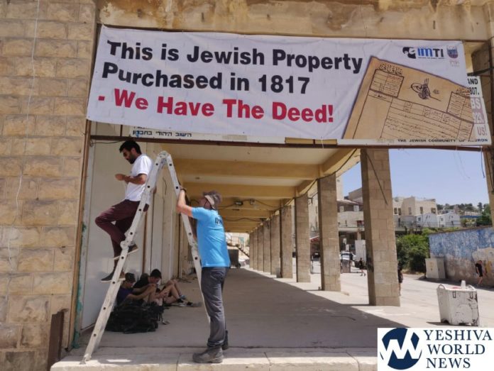 Photo 6 - Credit Im Tirtzu