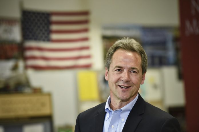 bullock