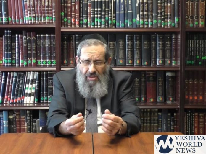 Rabbi Shaya Cohen