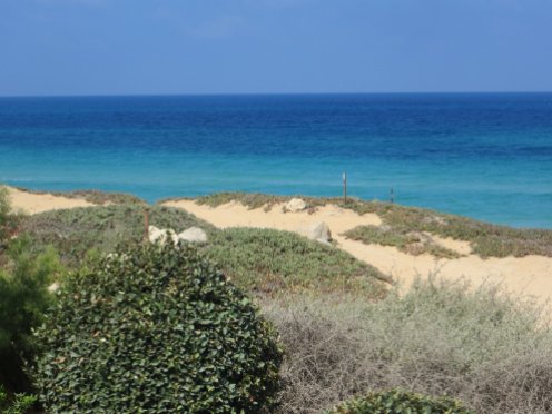 kfar-saba