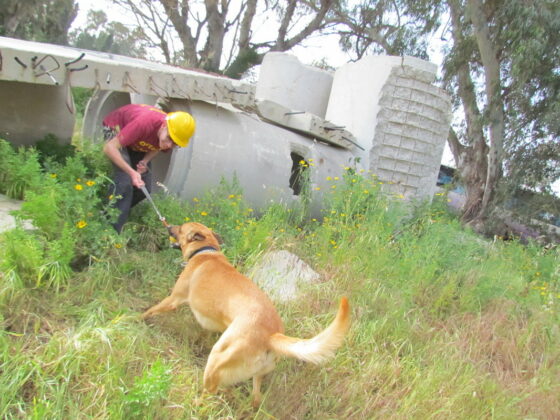 The Israel Dog Unit Showcases Innovative Ways to Fight Agriculture and Arab Terrorism