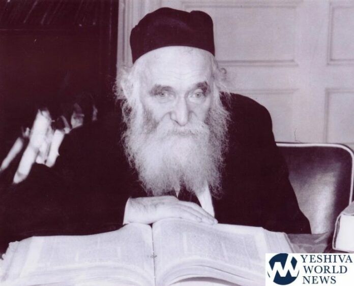 rav aharon 2