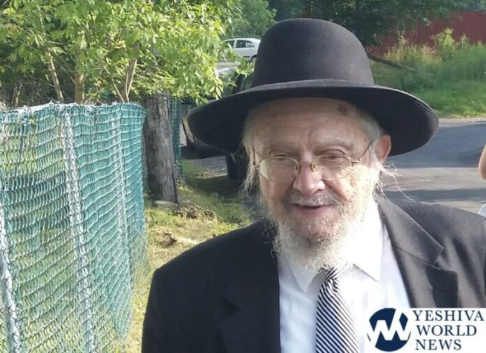 rav-dovid-feinstein