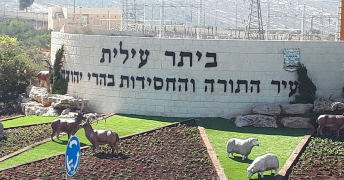 beitar