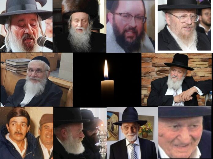 collage2