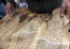 Shocking: 450-Year-Old Torah Klafim Found In Druze Village