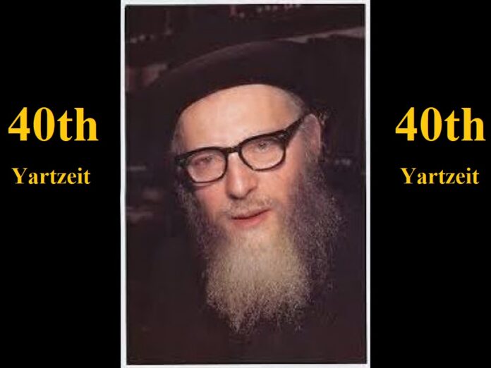 rav shneur5