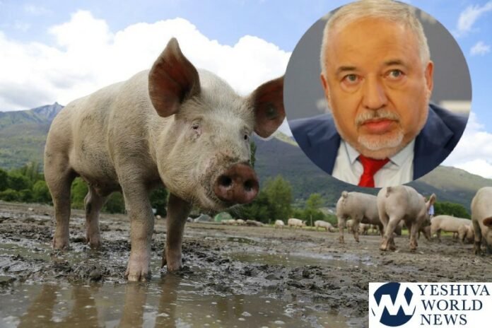 pig-752557_1280-overlay