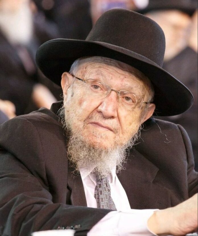 rav dovid