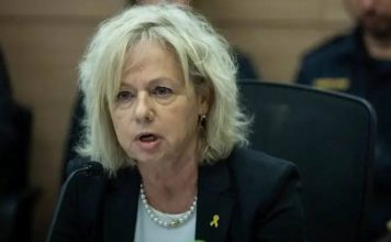 Attorney General Gali Baharav-Miara (Knesset Channel/Screenshot)