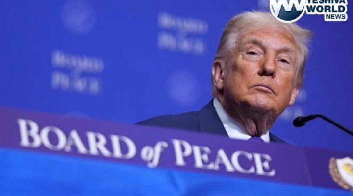 WhatsApp Image 2026-02-19 at 11.01.56 AM