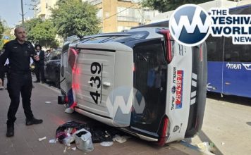 WhatsApp Image 2026-02-19 at 2.36.26 PM