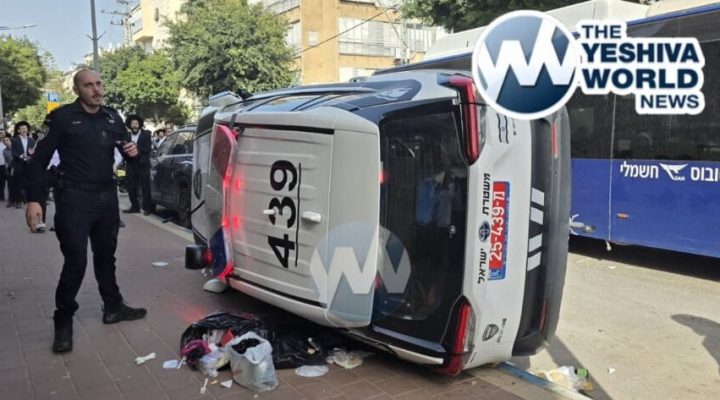 WhatsApp Image 2026-02-19 at 2.36.26 PM