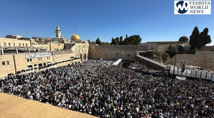 WhatsApp Image 2026-02-19 at 2.54.51 PM