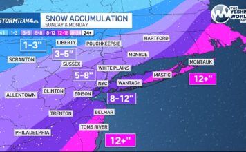 WhatsApp Image 2026-02-20 at 2.42.23 PM