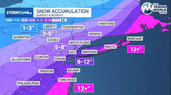 WhatsApp Image 2026-02-20 at 2.42.23 PM