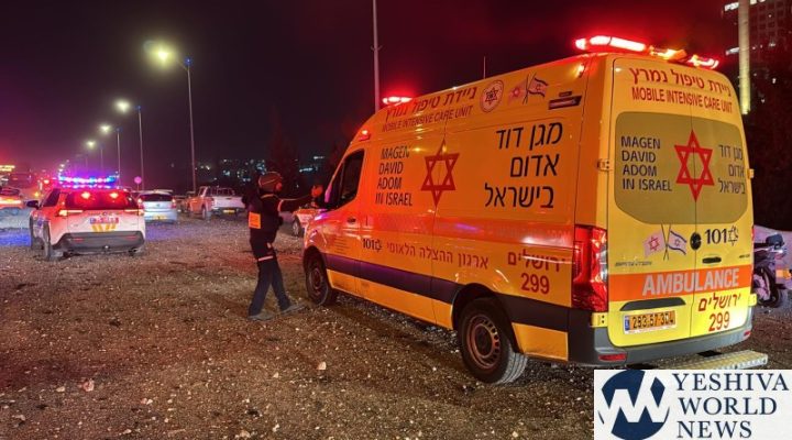 WhatsApp Image 2026-03-01 at 3.56.53 PM