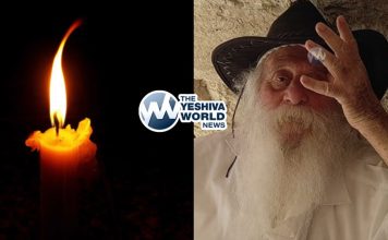 WhatsApp Image 2026-03-06 at 9.35.35 AM