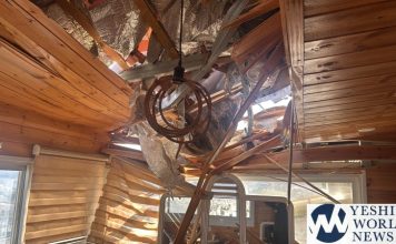 WhatsApp Image 2026-03-16 at 10.04.55 AM