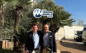 cab0ac79-cc89-4ef8-a1fd-776294666d24