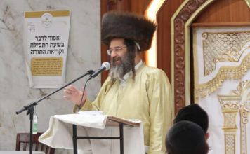 HaGaon HaRav Brandsdorfer. צילום: י. פריד